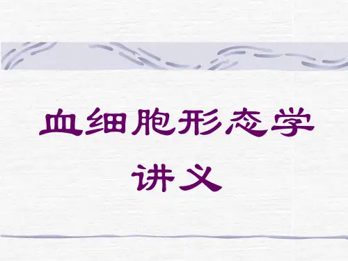 血细胞形态学讲义 ppt课件