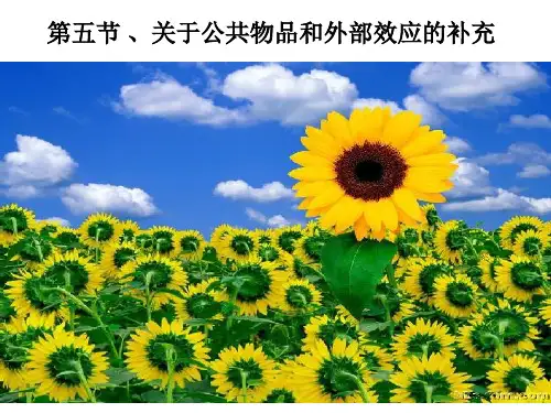 第五节 关于公共物品和外部效应