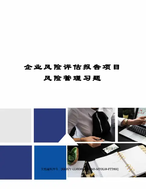 企业风险评估报告项目风险管理习题