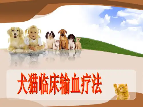 犬猫临床输血疗法