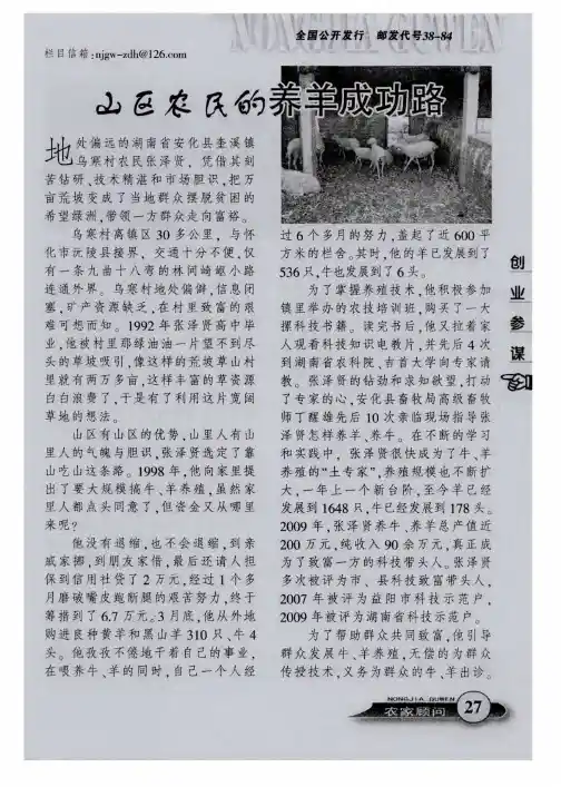 山区农民的养羊成功路