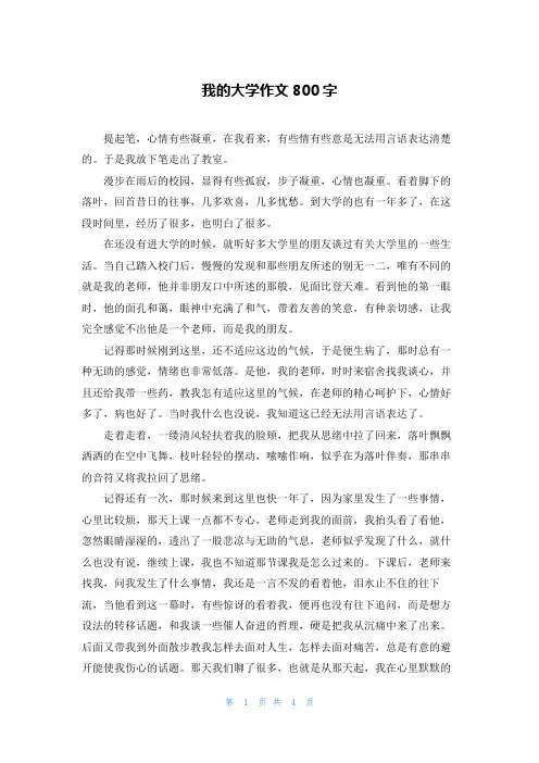 我的大学作文800字
