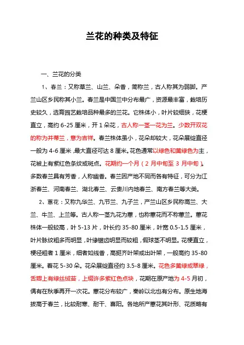 兰花的种类及特征