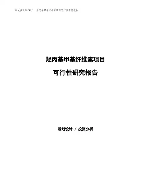 2020年羟丙基甲基纤维素项目可行性研究报告