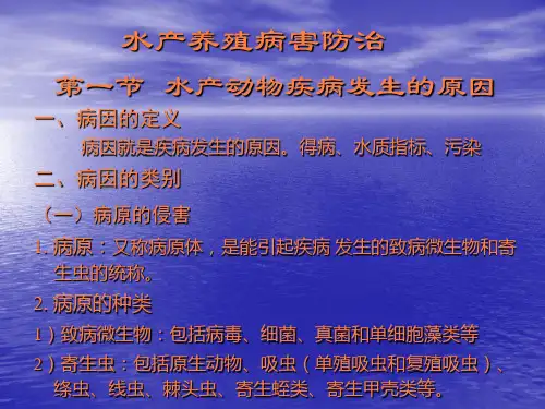 水产养殖病害PPT课件