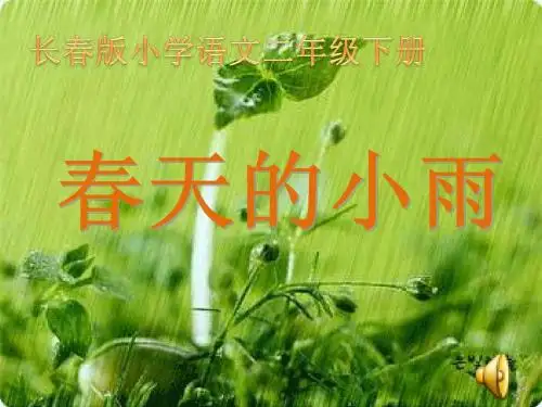 春天的小雨课件