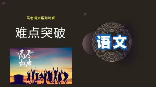 难点突破系列(高考语文)