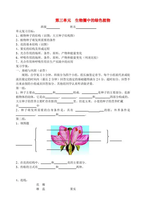 七年级生物上册 第三单元生物圈中的绿色植物复习学案(无答案) 苏教版