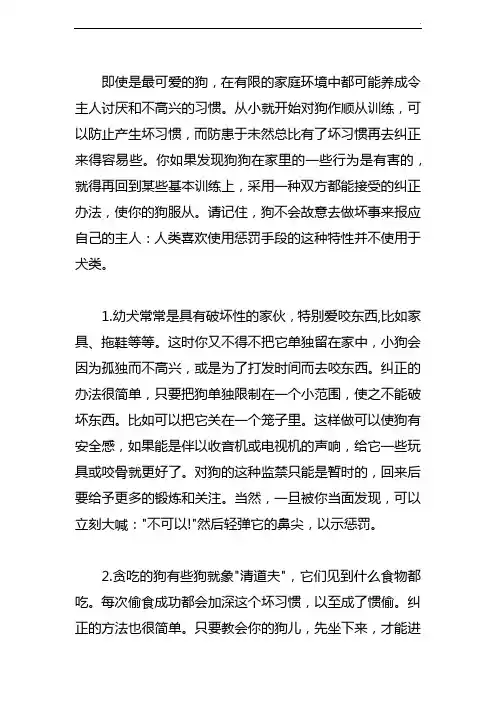 网上训犬方法大归纳