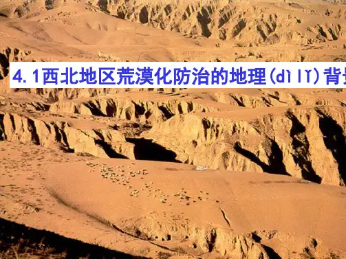 高中地理课件西北地区荒漠化防治标准版文档