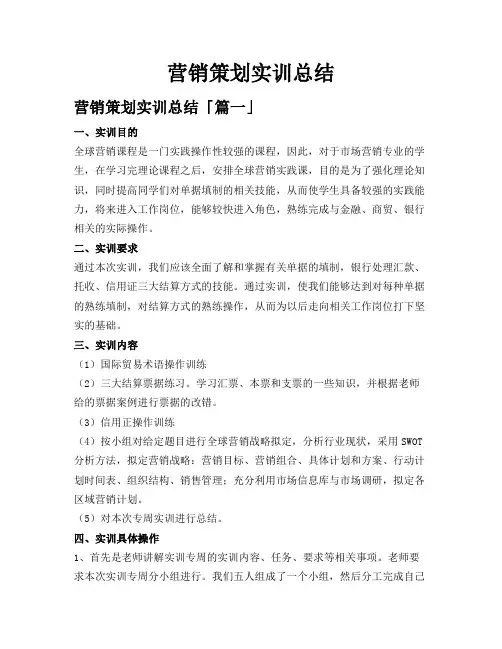 营销策划实训总结