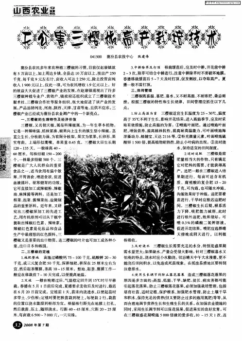 无公害三樱椒高产栽培技术
