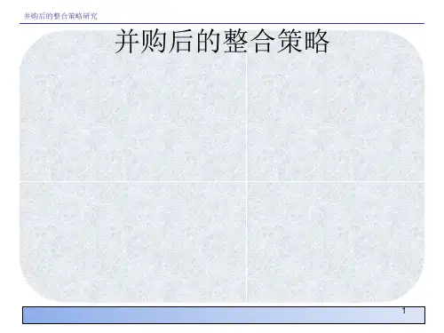 并购后的整合策略[优质ppt]