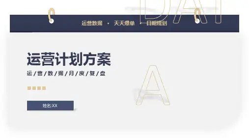 运营计划方案PPT模板