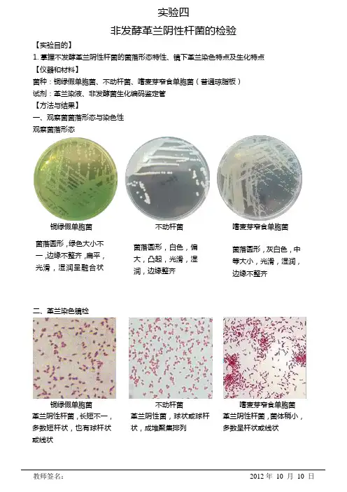 非发酵革兰阴性杆菌的检验