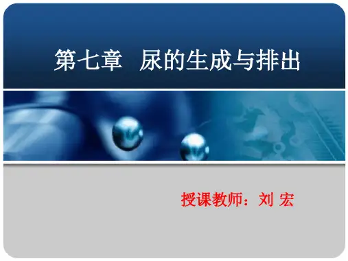 尿的生成与排出