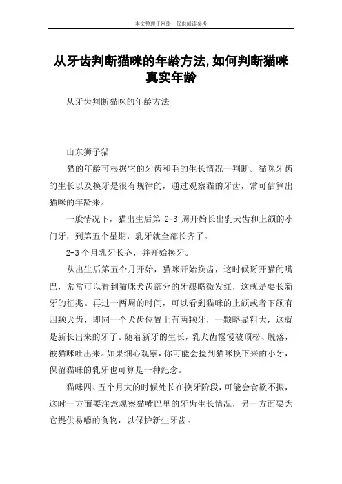 从牙齿判断猫咪的年龄方法,如何判断猫咪真实年龄