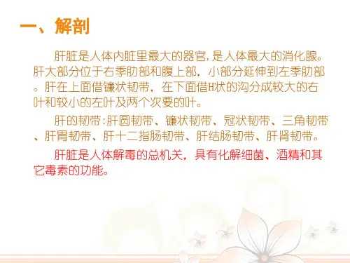 肝叶切除术的手术配合与护理