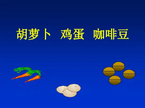 咖啡豆的故事