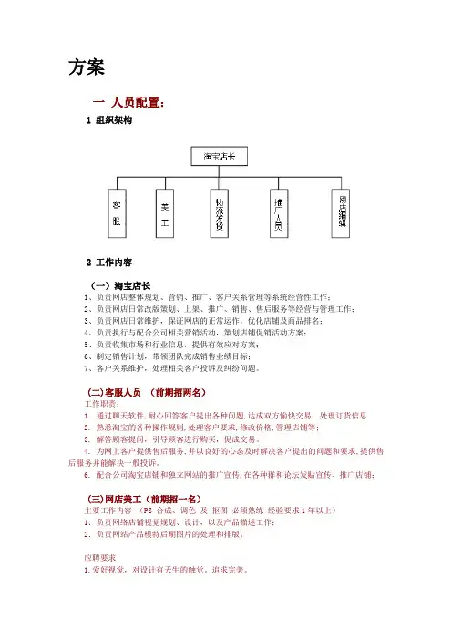 淘宝运营方案