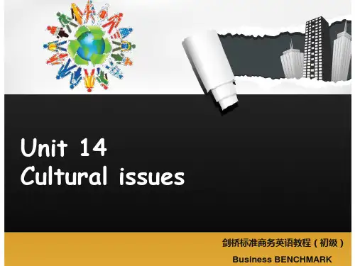 Unit 14-Cultural issues