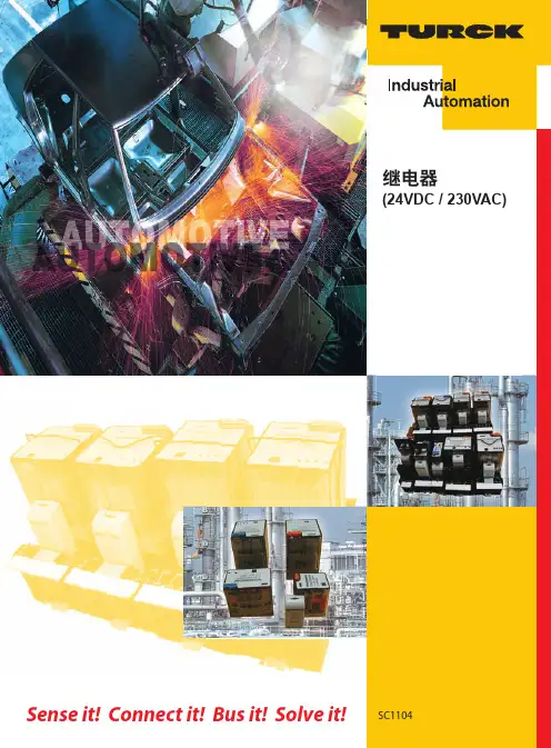 继电器- (24VDC  230VAC  )