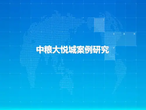 中粮大悦城案例研究PPT课件