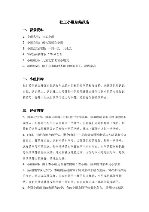 社工小组总结报告