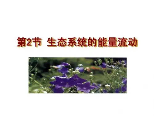5.2生态系统的能量流动