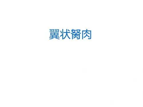 翼状胬肉护理课件