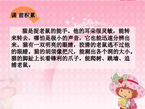 《找不到快乐的波斯猫》课件(语文S版二年级(下册)课件)(1)