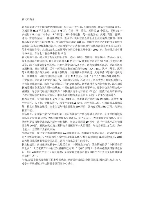 新民市简介