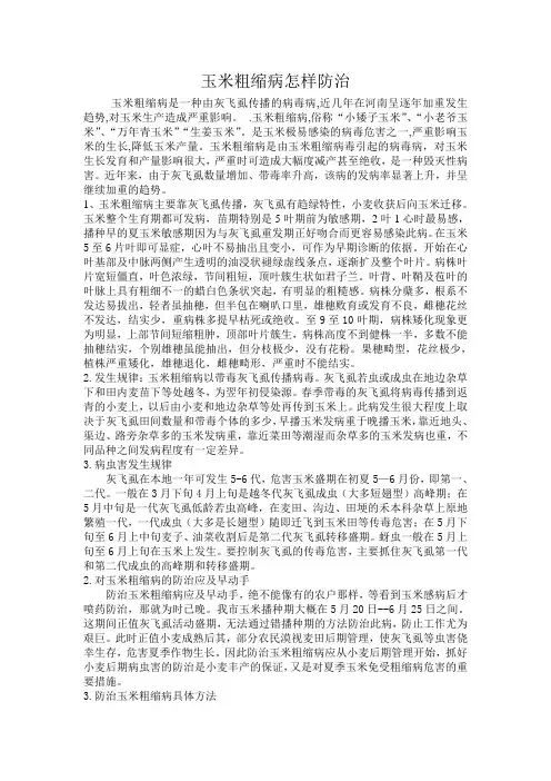 玉米粗缩病病害及防治方法