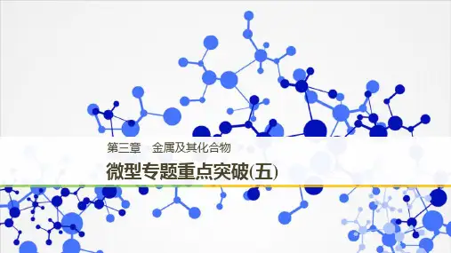 2018-2019版高中化学必修一同步新学案课件(人教版) 第三章微型专题重点突破(五)
