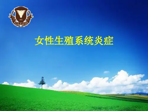临床见习前理论课件:女性生殖系统炎症