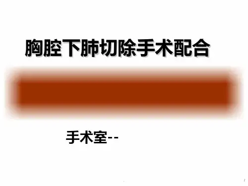 胸腔镜肺叶切除术PPT课件