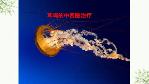 耳鸣的中西医治疗ppt课件