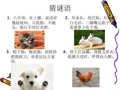 我喜欢的小动物作文ppt PPT课件(共33张)