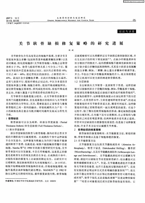 关节软骨缺损修复策略的研究进展