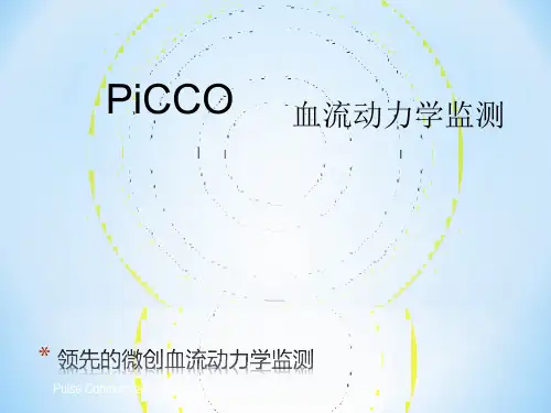[精品]picco参数解读(已看两遍很好)剖析资料