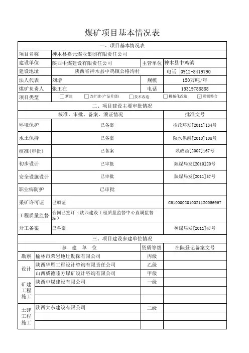 煤矿项目基本情况表-2