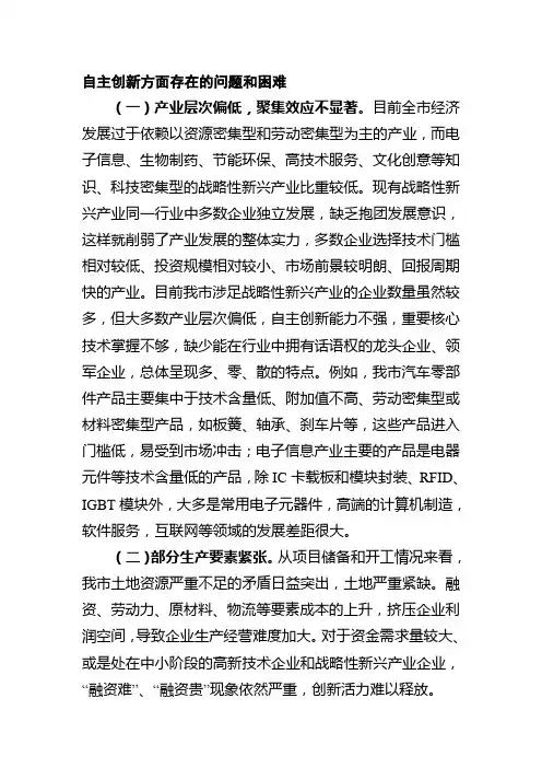自主创新方面存在的问题和困难