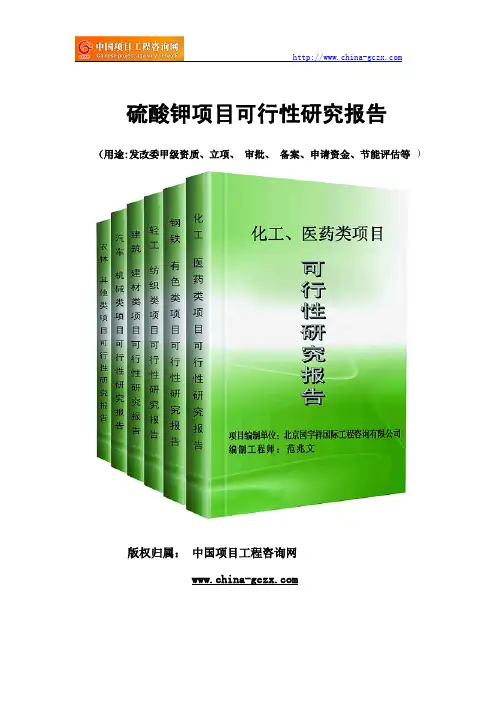 硫酸钾项目可行性研究报告(专业经典案例)