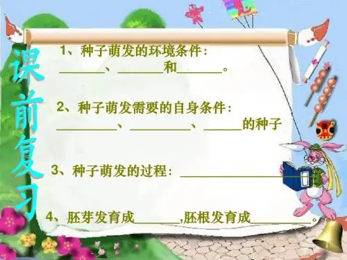 第二节 植株的生长