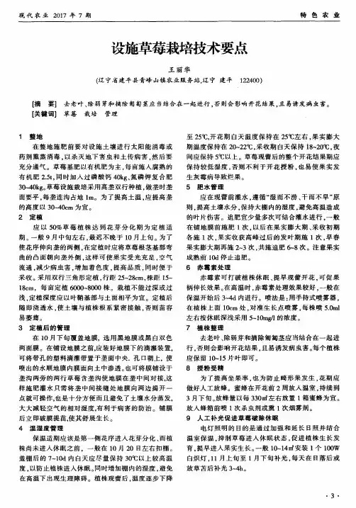 设施草莓栽培技术要点