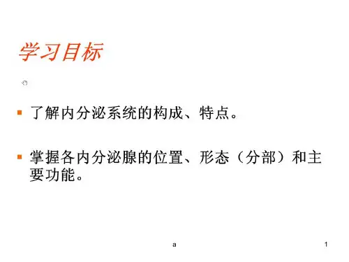 《内分泌系统》PPT课件
