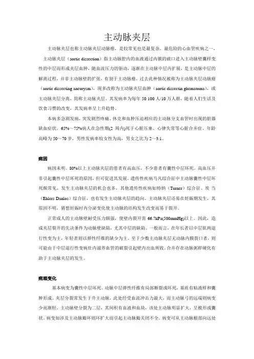 主动脉夹层动脉瘤