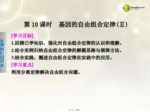高中生物 3.2 基因的自由组合定律课件2 苏教版必修2