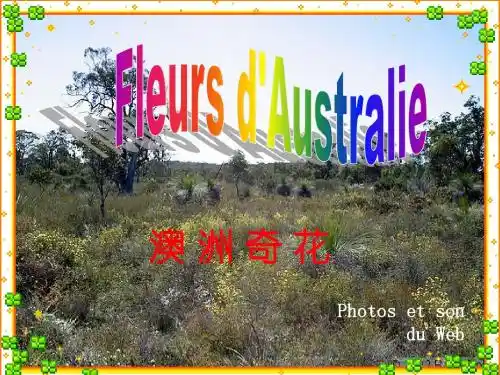 澳洲奇花