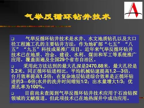 气举反循环